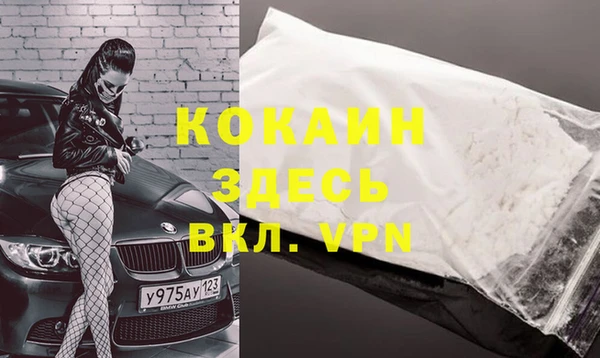 твердый Белокуриха