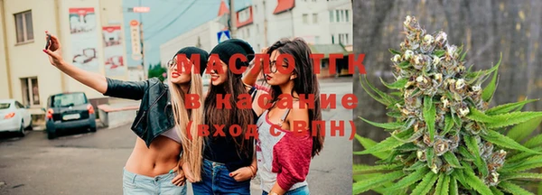молекула духа Богородицк