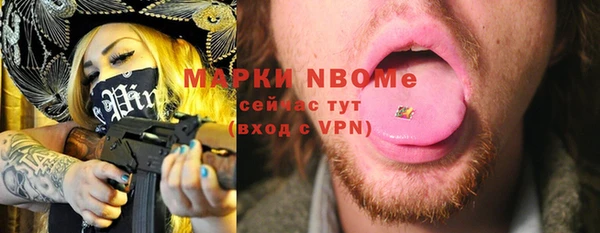 молекула духа Богородицк