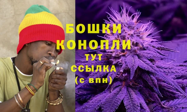 молекула духа Богородицк