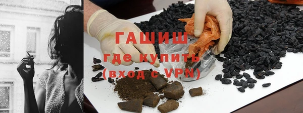 молекула духа Богородицк