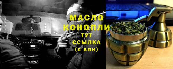 молекула духа Богородицк