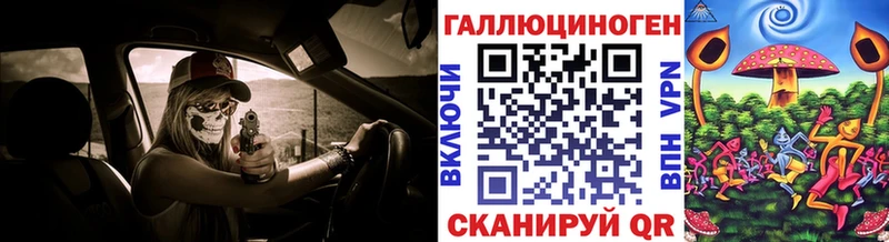 где купить наркоту  Белокуриха  Галлюциногенные грибы Psilocybe 